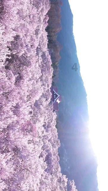 行走三秦大地 解码诉源治理