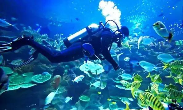 旅客“丢失”贵重物品 民警热心帮忙快速找回