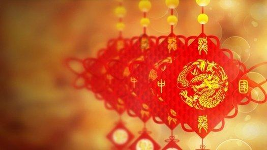 救援卷耳兔