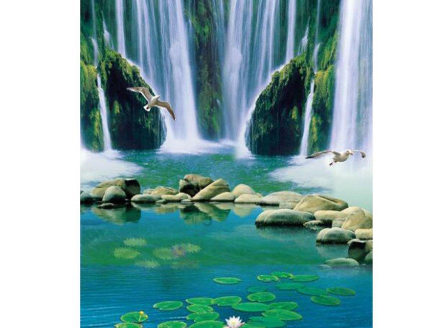 淘气兔救援